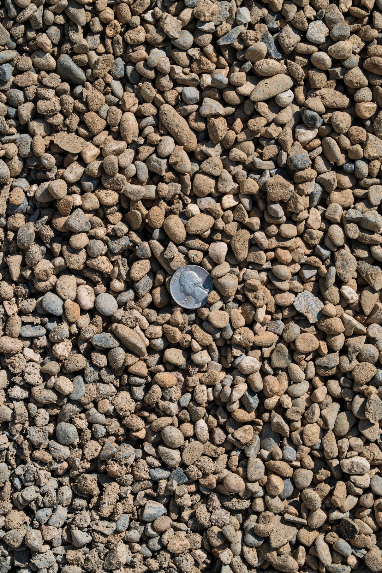 3/8" Pea Gravel