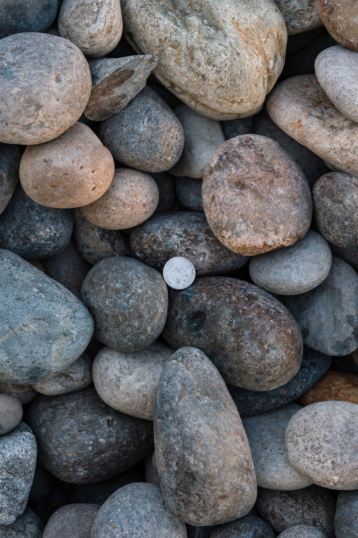 4"-8" Noiyo River Cobble